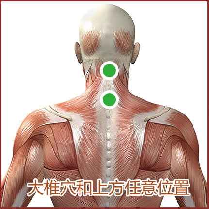 過敏性鼻炎貼敷位置示意圖