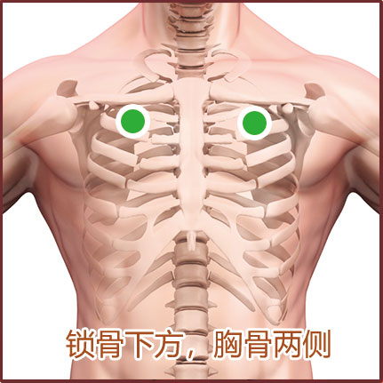 支氣管炎/支氣管肺炎貼敷位置示意圖