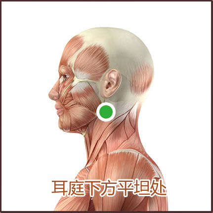 扁桃體炎和咽炎貼敷位置示意圖