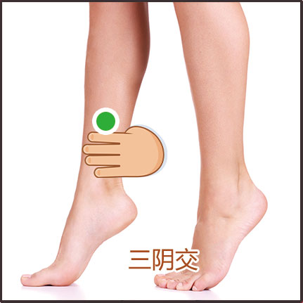 腎陽虛、虛寒體質(zhì)貼敷位置示意圖